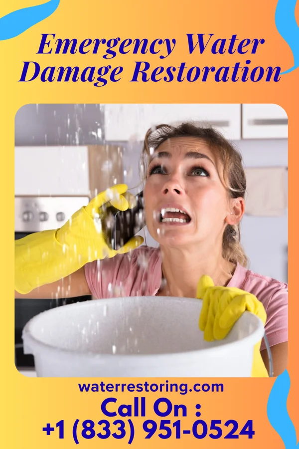 Emergency Water Damage Restoration in Manassas Park, VA