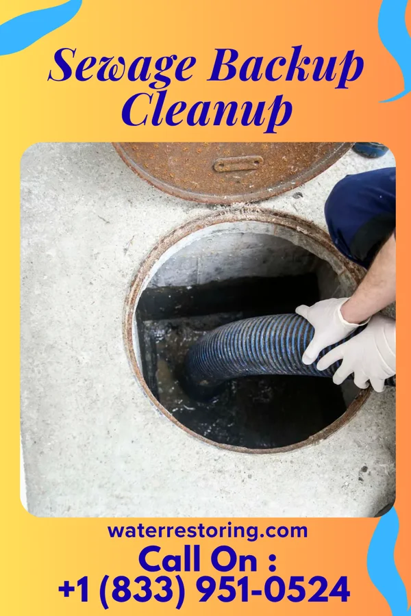 Sewage Backup Cleanup in Manassas Park, VA