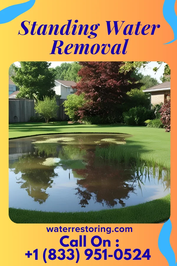 Standing Water Removal in Manassas Park, VA